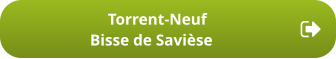 Torrent-Neuf Bisse de Savièse