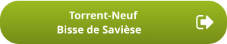 Torrent-Neuf Bisse de Savièse